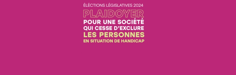 Bandeau éléctions législatives 8